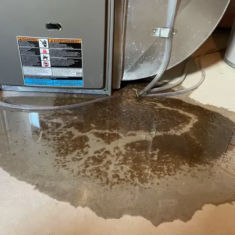 Appliance Leak Cleanup in Shamrock, TX